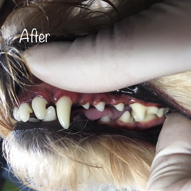 After After