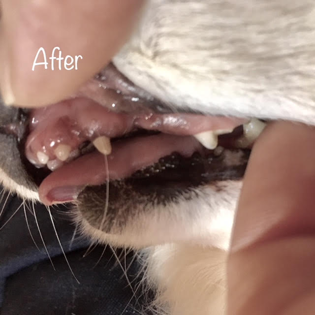 After After