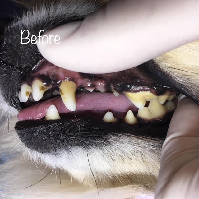 Before Before