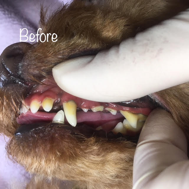 Before Before