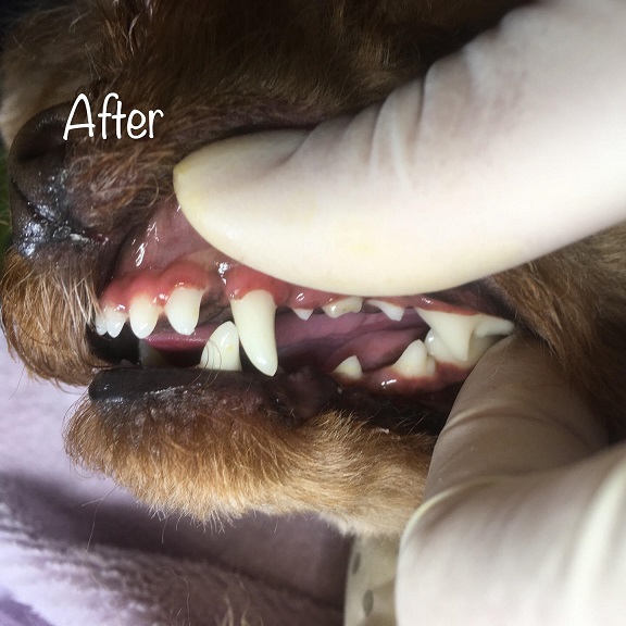 After After