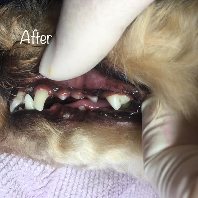 After After