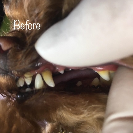 Before Before