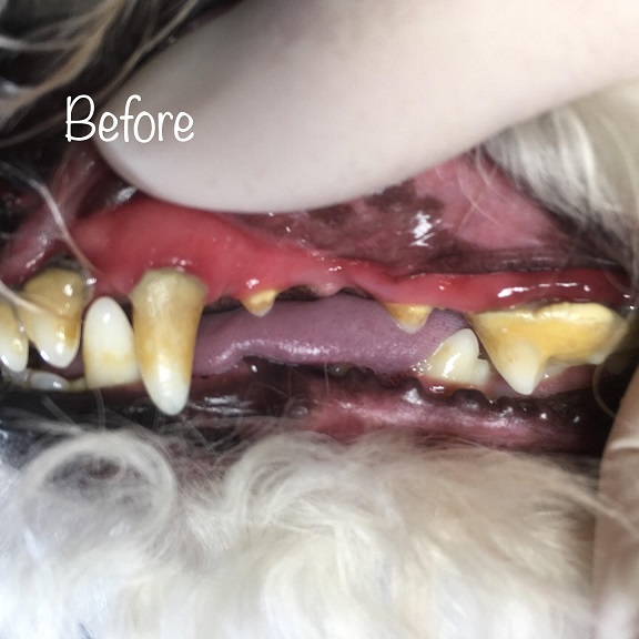 Before Before