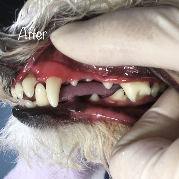After After