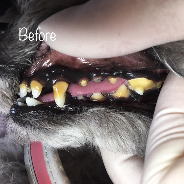 Before Before