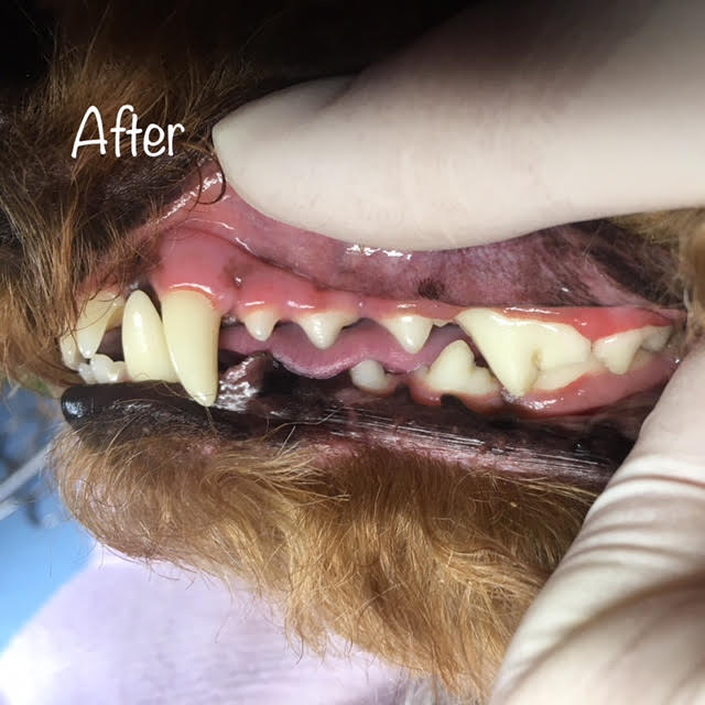 After After