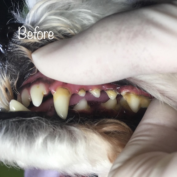 Before Before