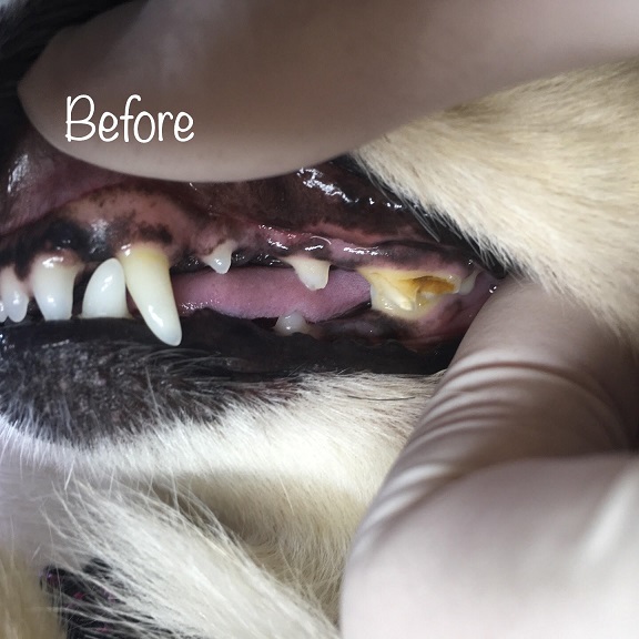Before Before
