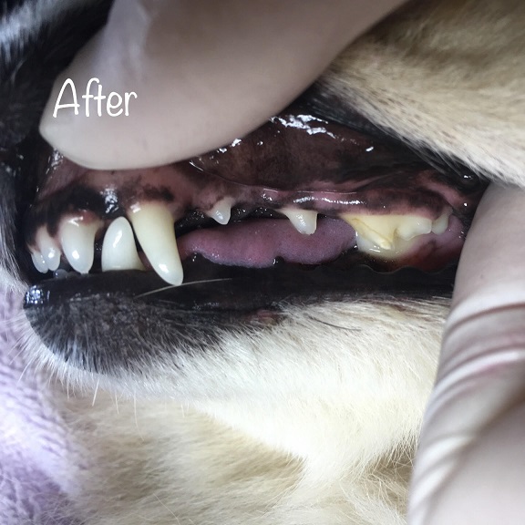 After After