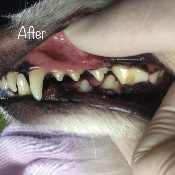 After After