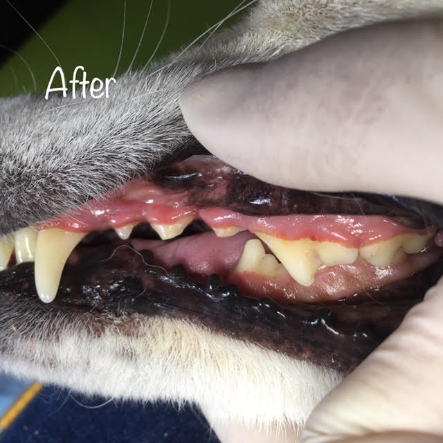 After After
