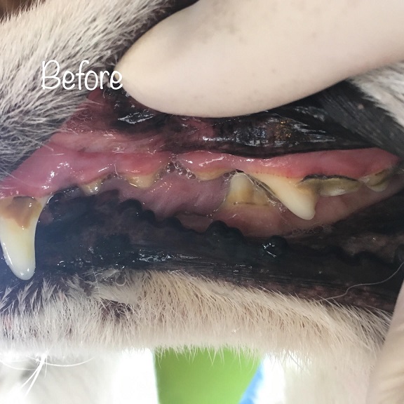 Before Before