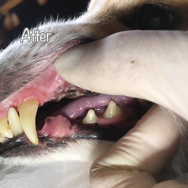 After After