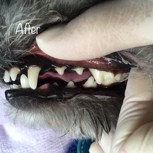 After After