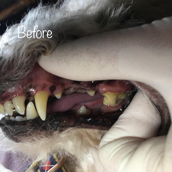 Before Before