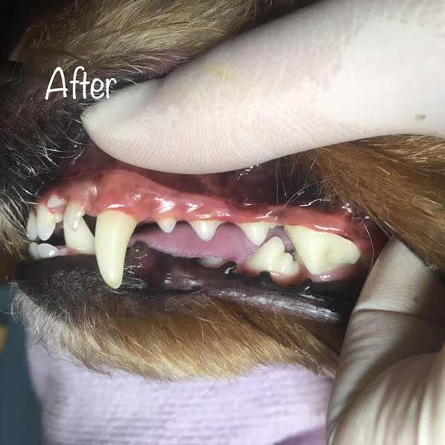 After After
