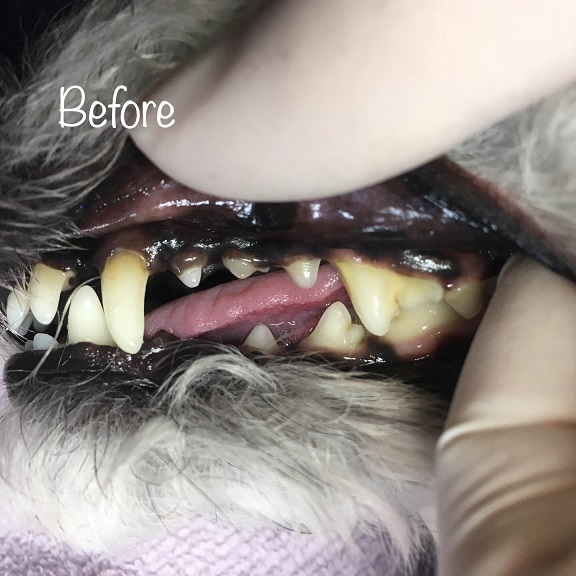 Before Before