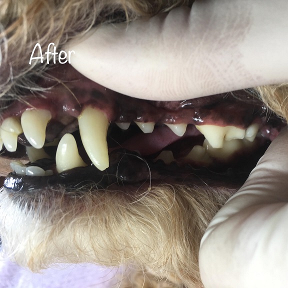After After