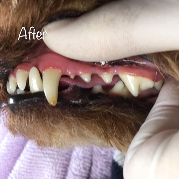 After After