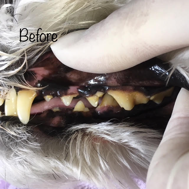 Before Before