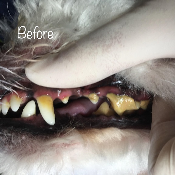 Before Before