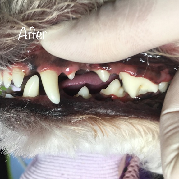 After After