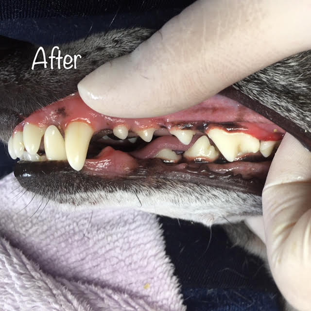 After After
