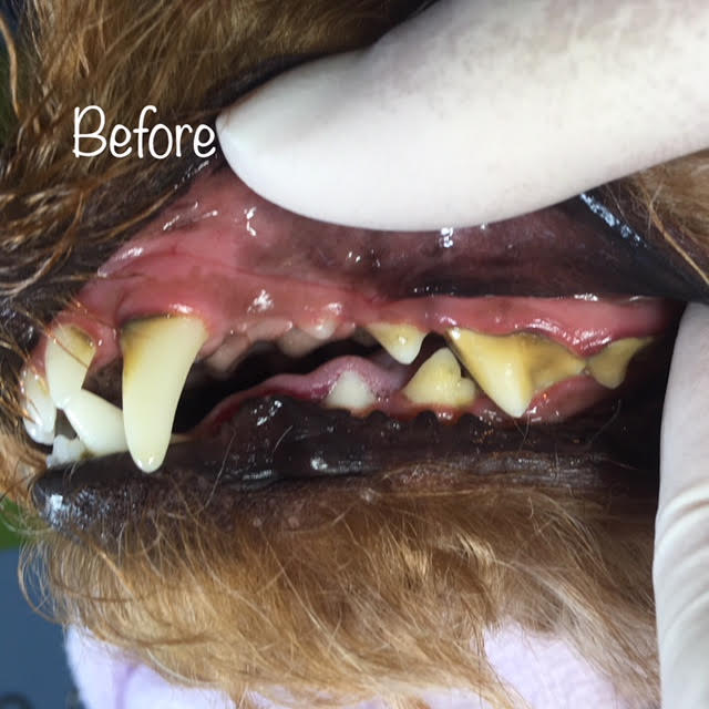 Before Before