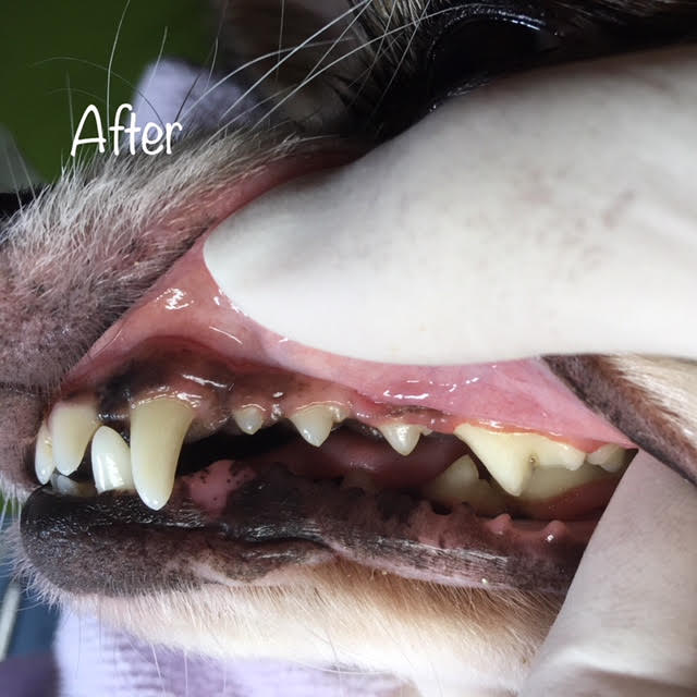 After After