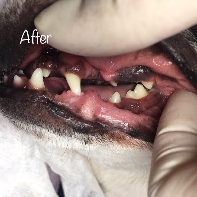 After After