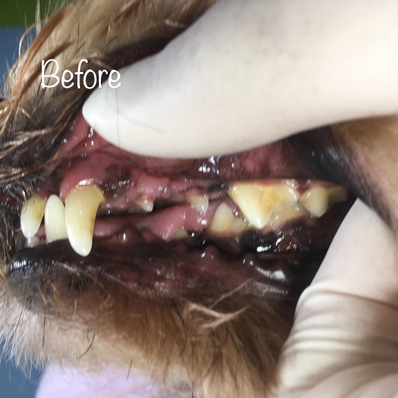 Before Before
