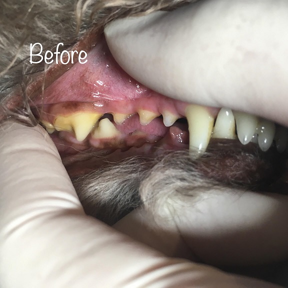 Before Before