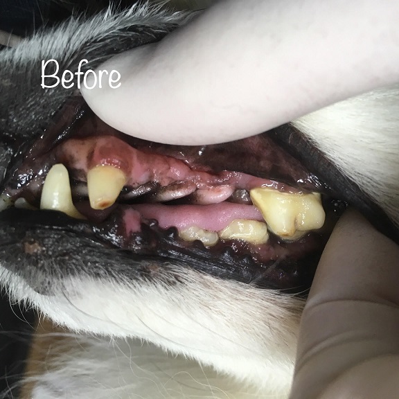 Before Before