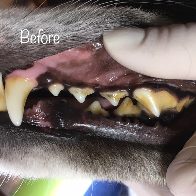 Before Before