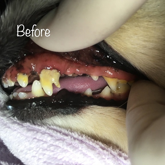 Before Before