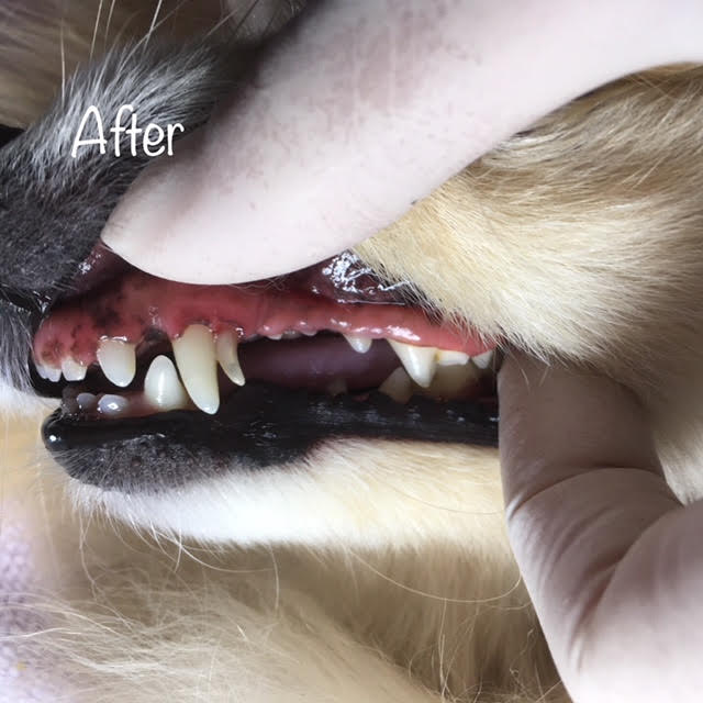 After After