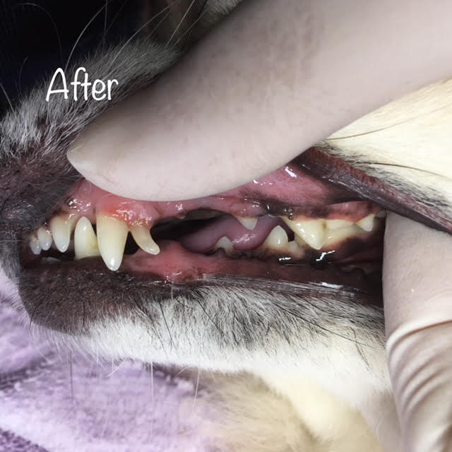 After After