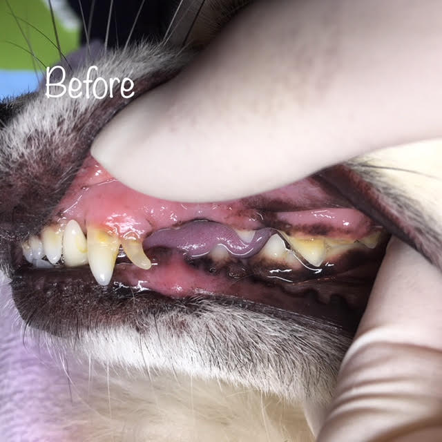 Before Before