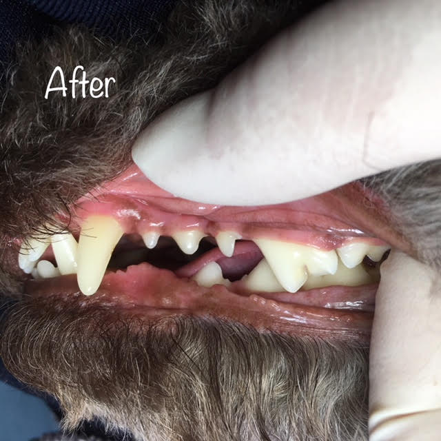 After After