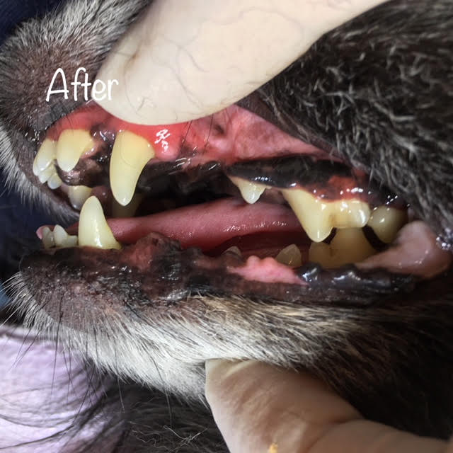 After After