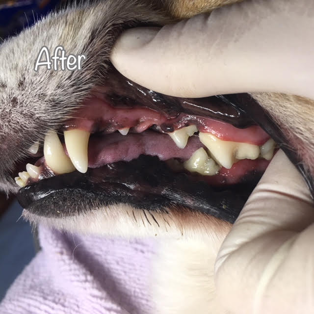 After After