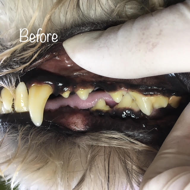 Before Before