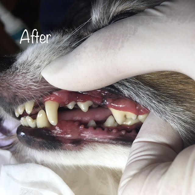 After After