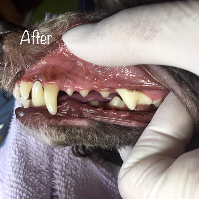 After After