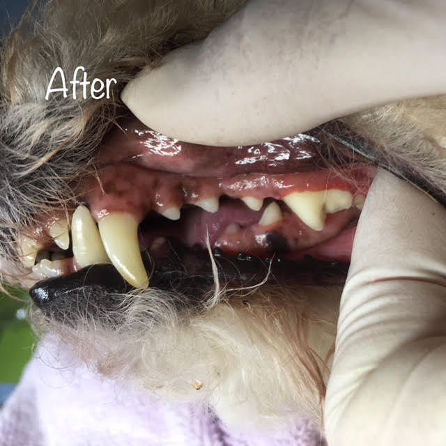 After After