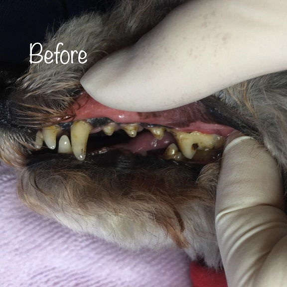 Before Before