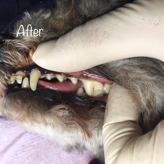 After After
