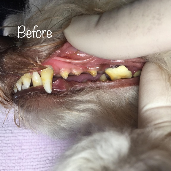 Before Before