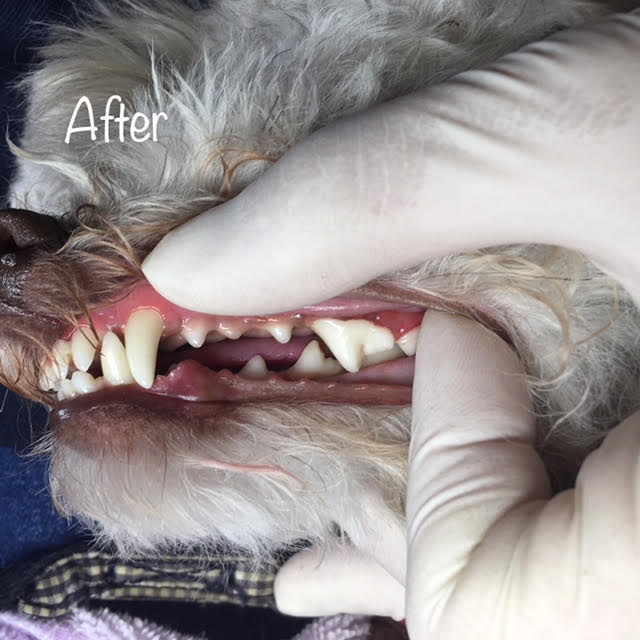 After After